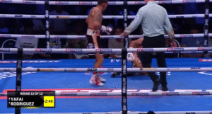 Rejor yafai tercoreng