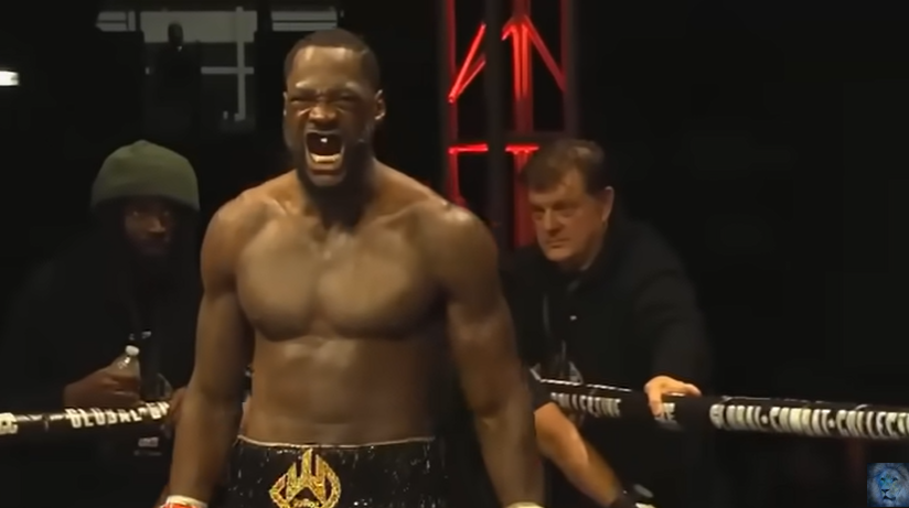 deontay wilder vs herndon