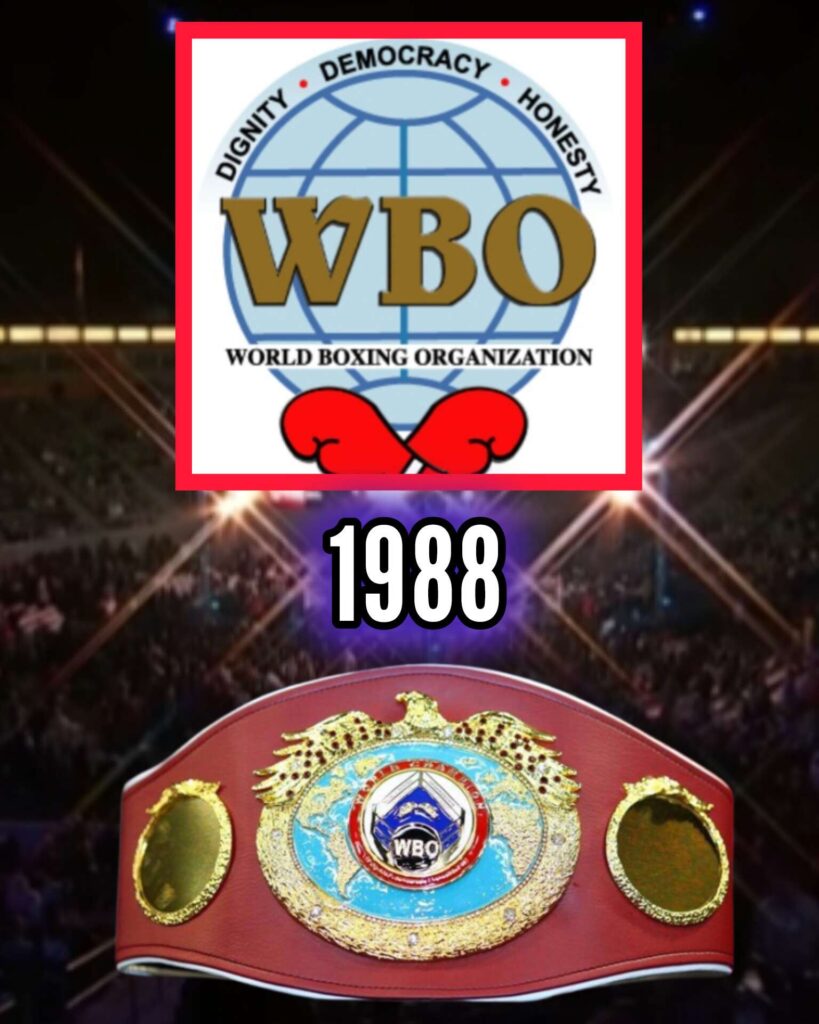 Sejarah Sabuk WBO: Dari Organisasi yang Diremehkan hingga Pilar Modern Tinju Dunia